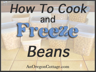 how-to-cook-freeze-beans