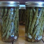 Canned Pickled Beans
