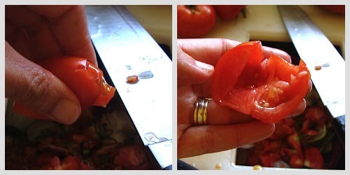 seeding tomato