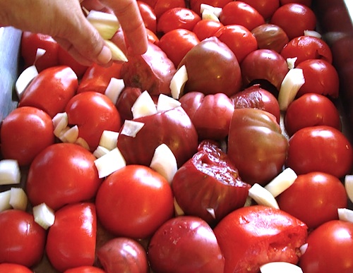tomatoes in pan