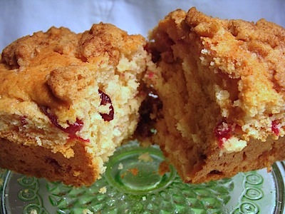 cranberry crumb loaf