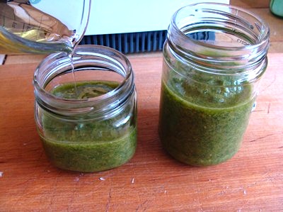 frugal pesto in jars