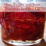 Dried-Tomatoes-in-Olive-Oil