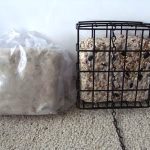 suet bird gift