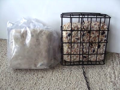 suet bird gift suet bird gift