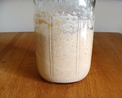 sourdough starter-tips