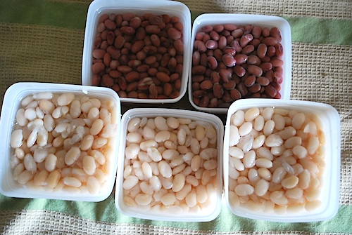 Beans for freezer