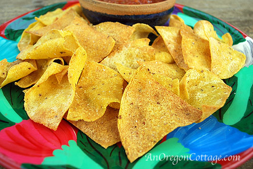 Chips-close_blog
