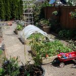 Shannan's garden_blog