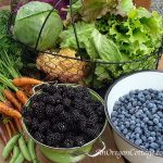 July-harvest-pic