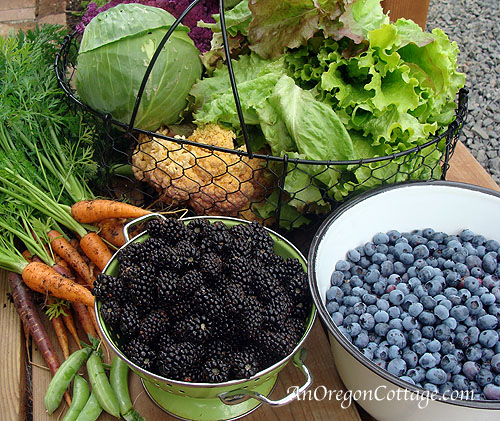 July-harvest-pic July-harvest-pic