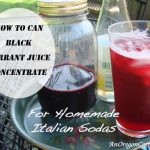 Black-Current-Juice-Italian-Soda
