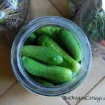 Easy Refrigerator Dill Pickles