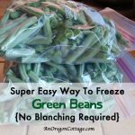 Green Bean Banner
