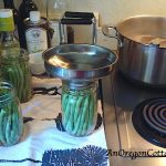 canning-pickled-green-beans