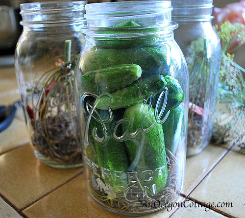 filled-pickle-jar Filled pickle jar