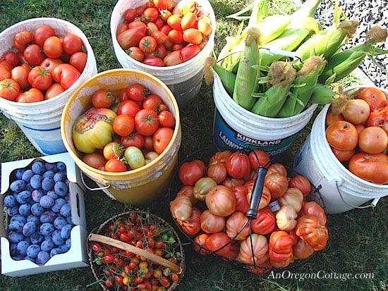 late September Harvest