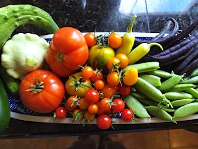 Seattle harvest Seattle harvest
