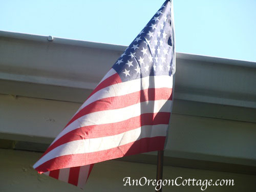 close-up-flag