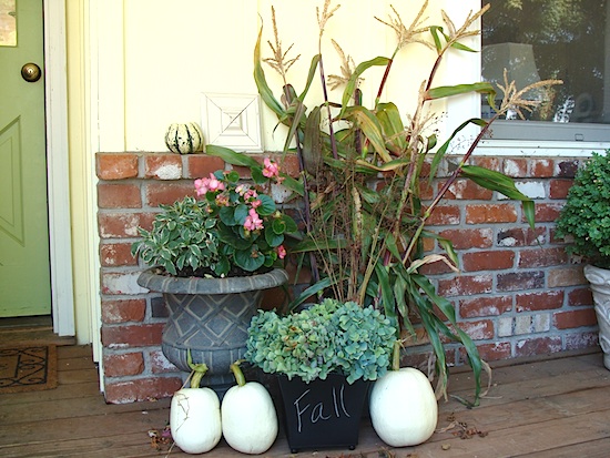 garden-harvest-decor