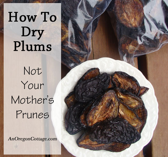 how-to-dry-plums how to dry plums