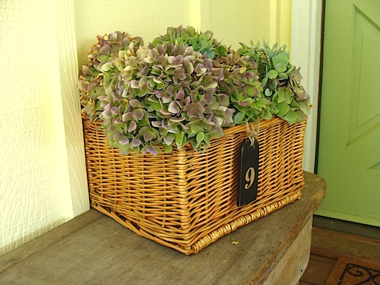hydrangea-basket