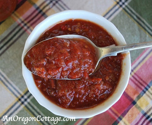 Tomato Chutney in Bowl Tomato Chutney in Bowl