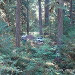 vintage trailer camping