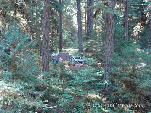 vintage trailer camping