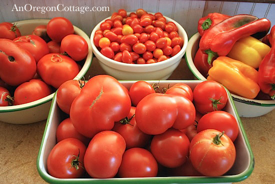 Oct-tomatoes-peppers October Tomatoes and Peppers
