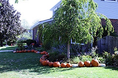 pumpkin-lined bed pumpkin-lined bed