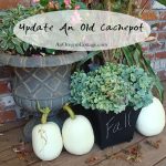 update-old-cachepot