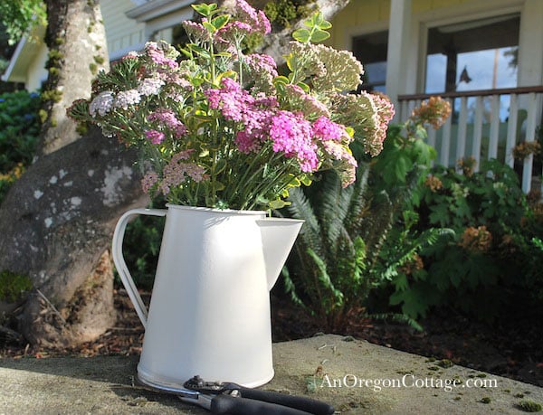 Transformed tin pitcher