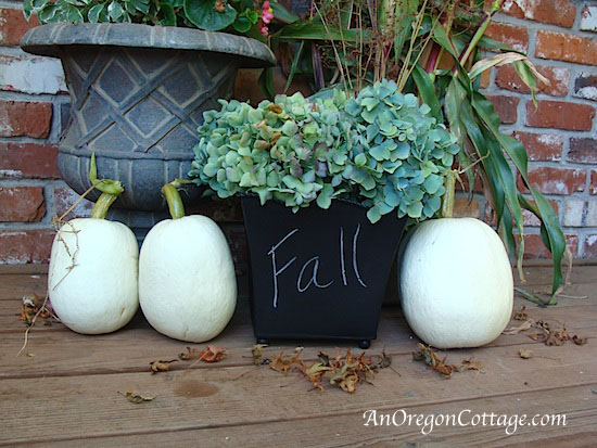 chalkboard cachepot chalkboard cachepot