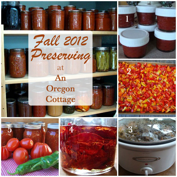 fall-preserving-collage