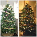 day-night-christmas-tree