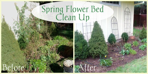 Flower-Shrub-Bed-before-after