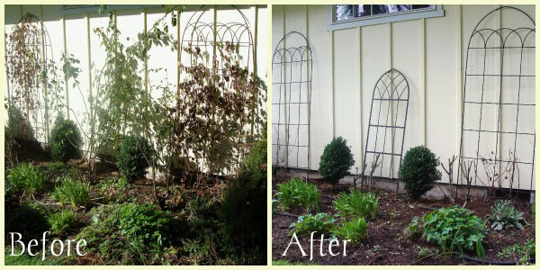 trellis-bed-before-after
