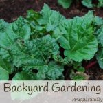 Backyard-Gardening