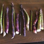 first asparagus