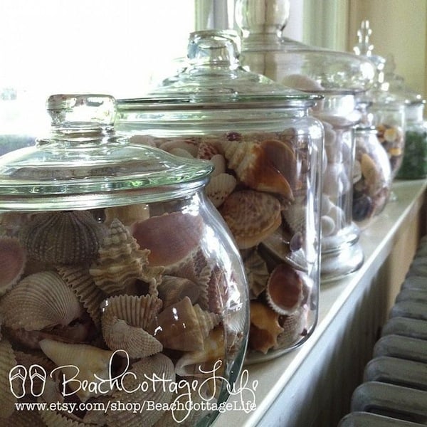 shells in jars